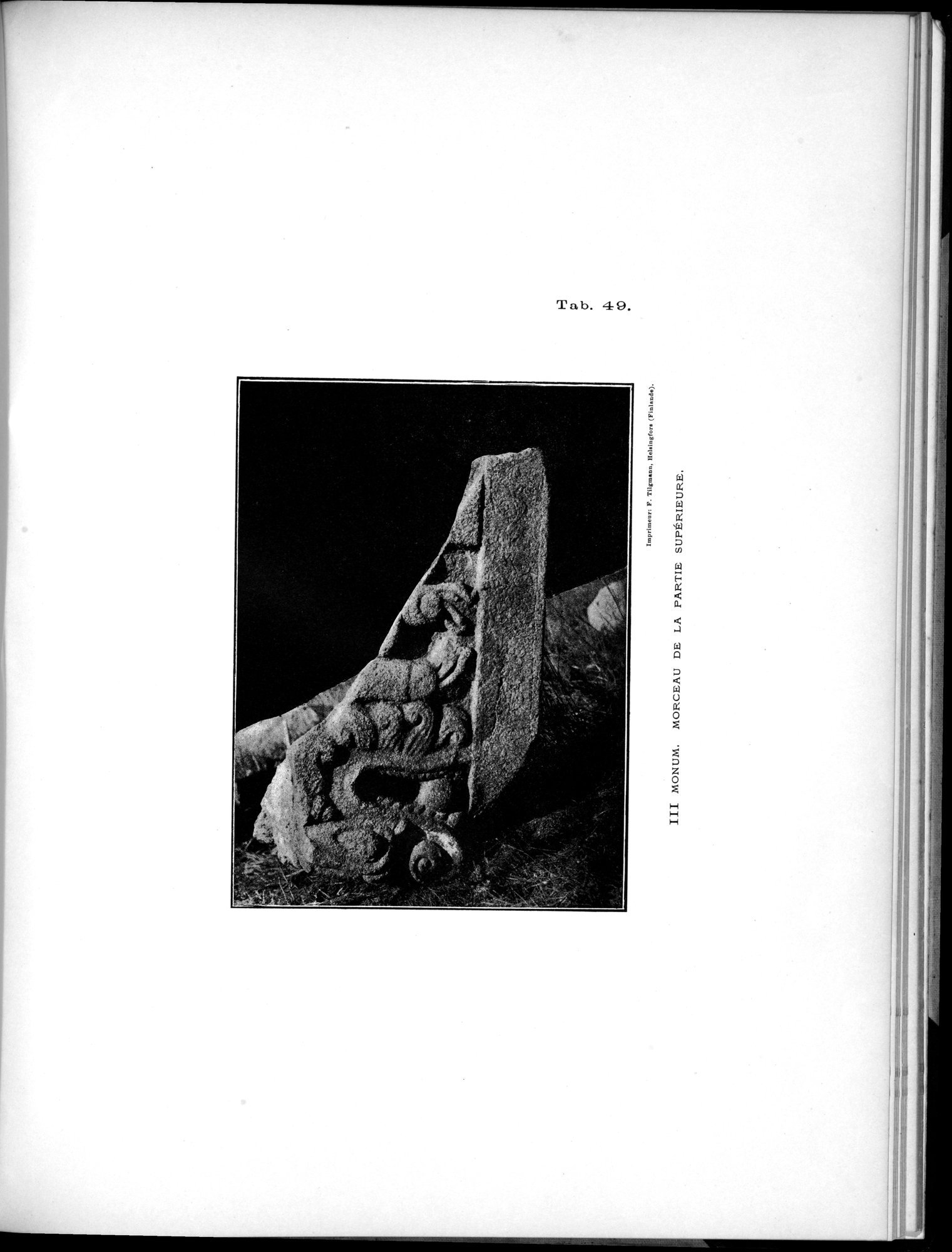 Inscriptions de l'Orkhon : vol.1 / 203 ページ（白黒高解像度画像）