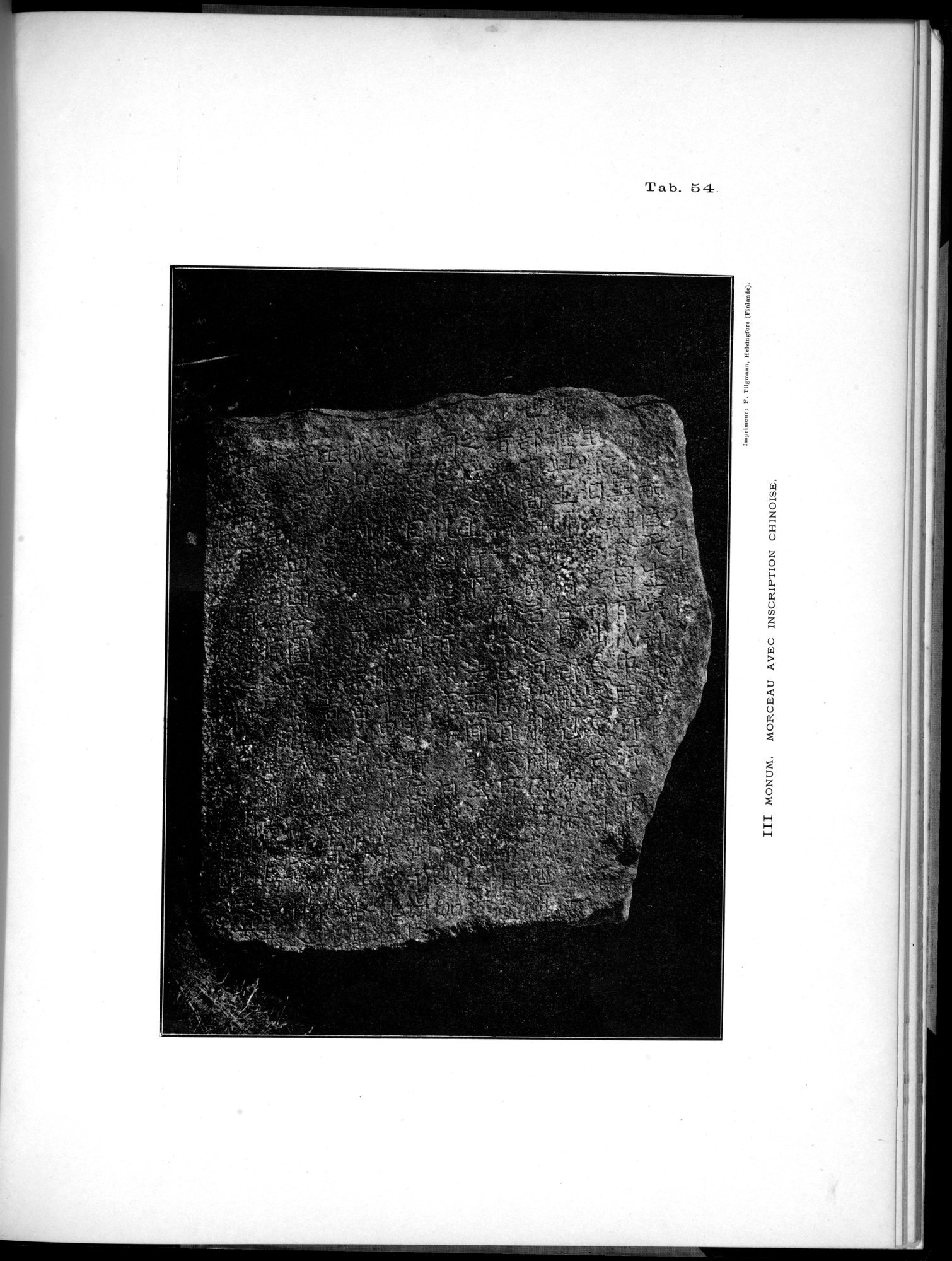 Inscriptions de l'Orkhon : vol.1 / 213 ページ（白黒高解像度画像）