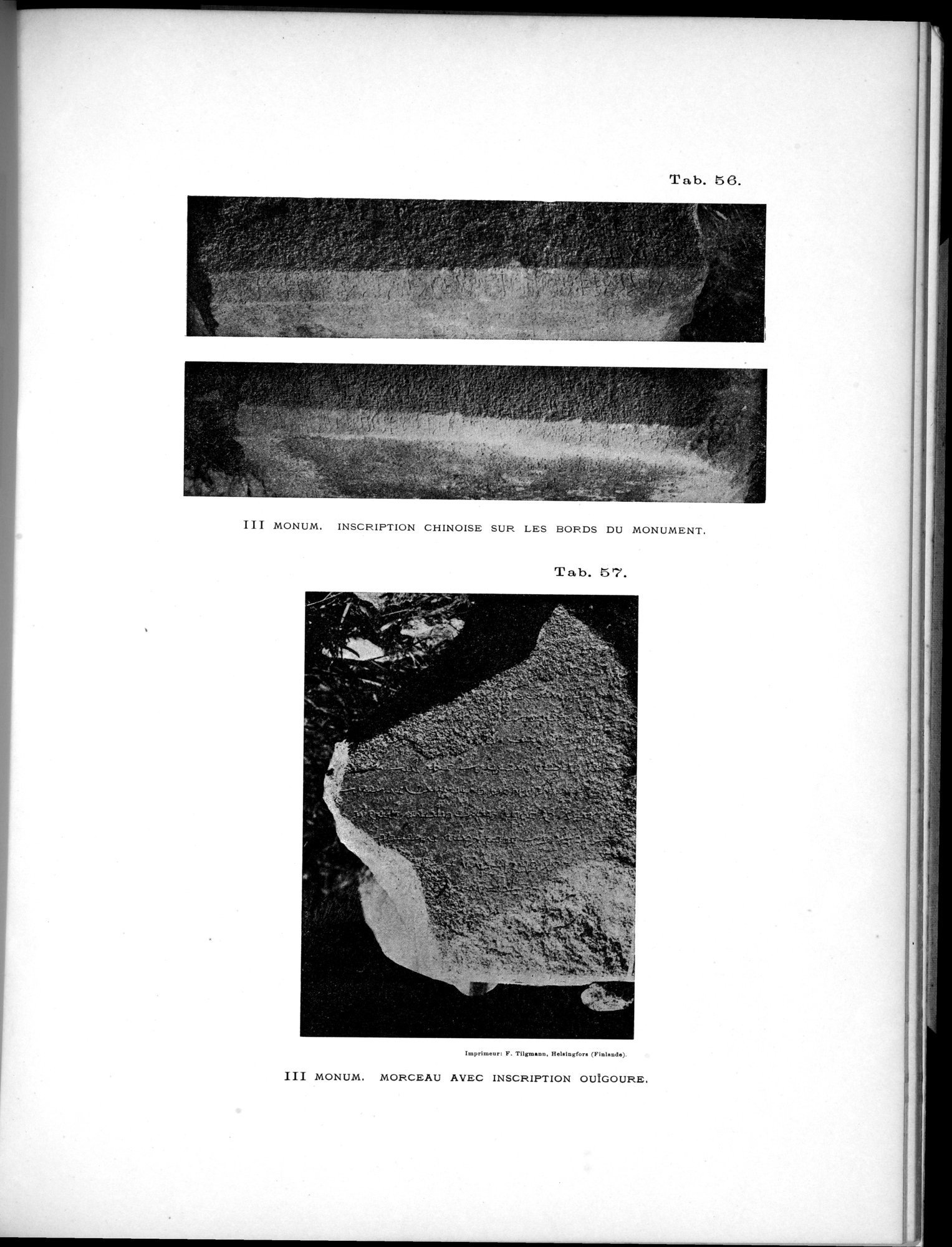 Inscriptions de l'Orkhon : vol.1 / Page 217 (Grayscale High Resolution Image)