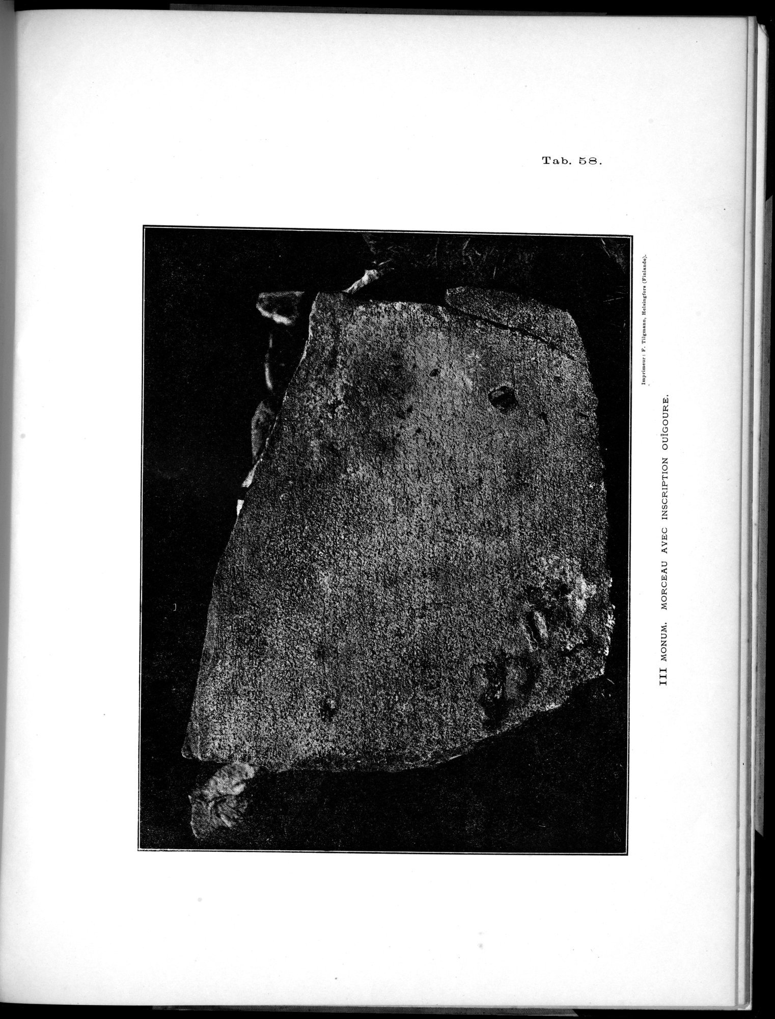 Inscriptions de l'Orkhon : vol.1 / 219 ページ（白黒高解像度画像）