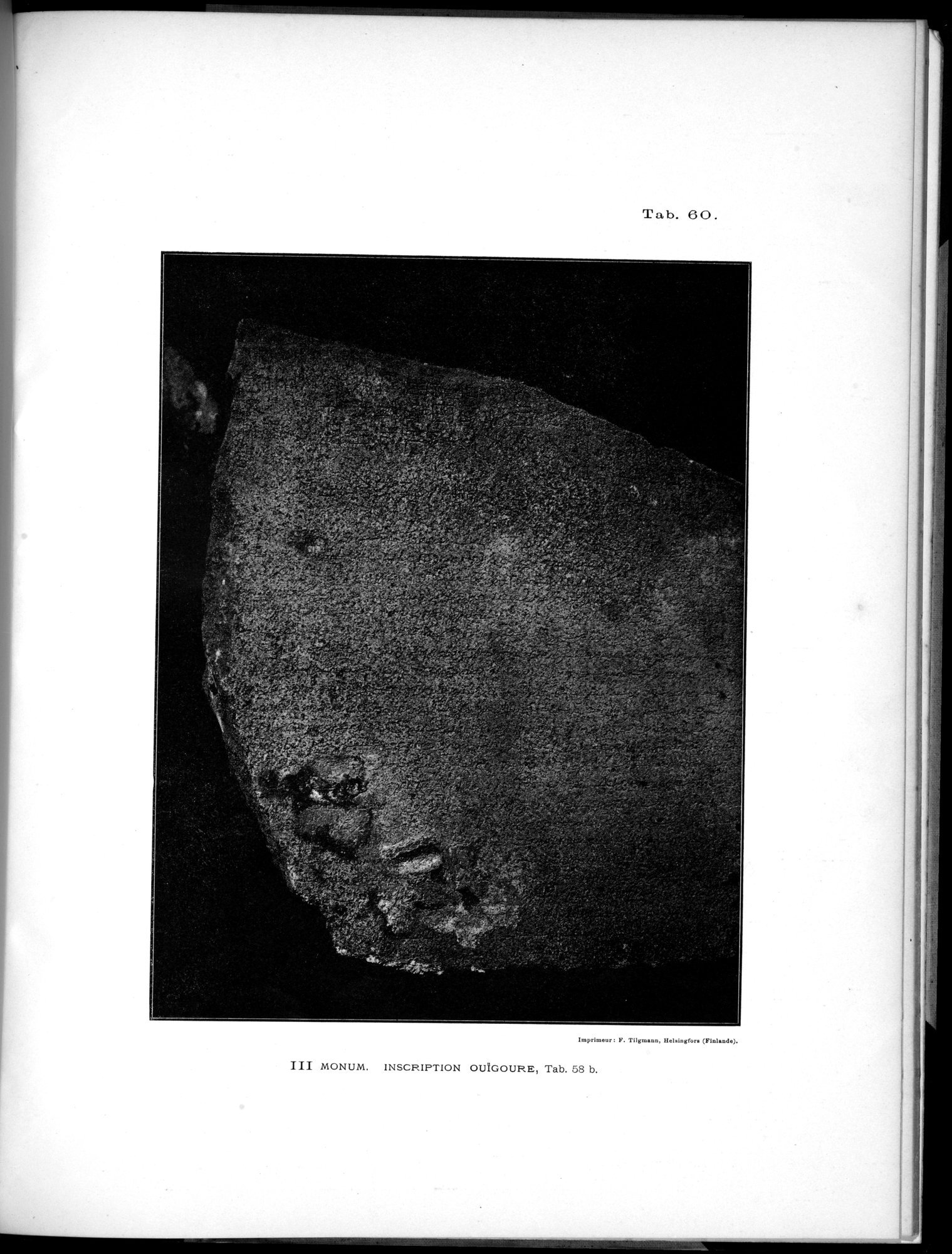 Inscriptions de l'Orkhon : vol.1 / 223 ページ（白黒高解像度画像）