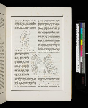 Die Teufel des Avesta und Ihre Beziehungen zur Ikonographie des Buddhismus Zentral-Asiens : vol.1 : Page 25