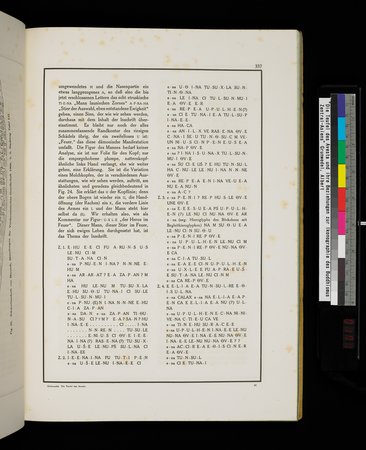 Die Teufel des Avesta und Ihre Beziehungen zur Ikonographie des Buddhismus Zentral-Asiens : vol.1 : Page 341