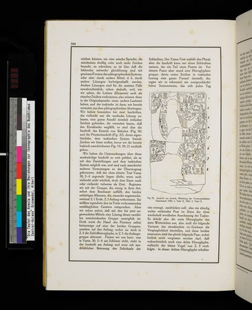Die Teufel des Avesta und Ihre Beziehungen zur Ikonographie des Buddhismus Zentral-Asiens : vol.1 : Page 348