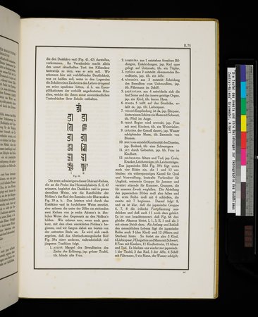 Die Teufel des Avesta und Ihre Beziehungen zur Ikonographie des Buddhismus Zentral-Asiens : vol.1 : Page 531