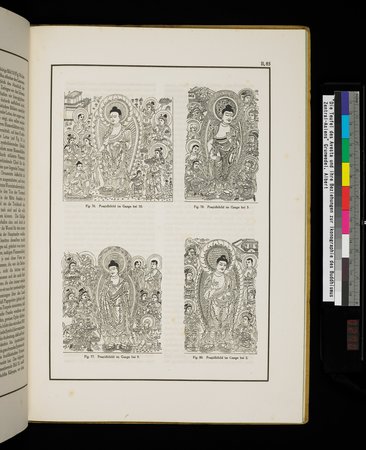 Die Teufel des Avesta und Ihre Beziehungen zur Ikonographie des Buddhismus Zentral-Asiens : vol.1 : Page 541