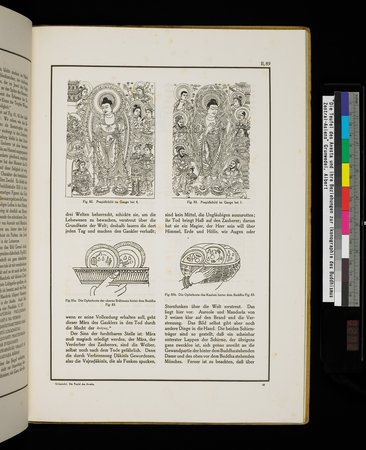 Die Teufel des Avesta und Ihre Beziehungen zur Ikonographie des Buddhismus Zentral-Asiens : vol.1 : Page 545