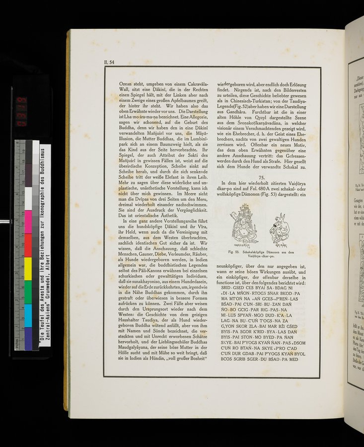 Die Teufel des Avesta und Ihre Beziehungen zur Ikonographie des Buddhismus Zentral-Asiens : vol.1 / Page 510 (Color Image)