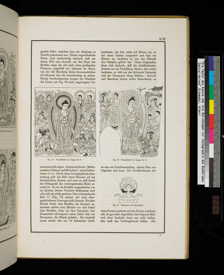 Die Teufel des Avesta und Ihre Beziehungen zur Ikonographie des Buddhismus Zentral-Asiens : vol.1 / Page 539 (Color Image)