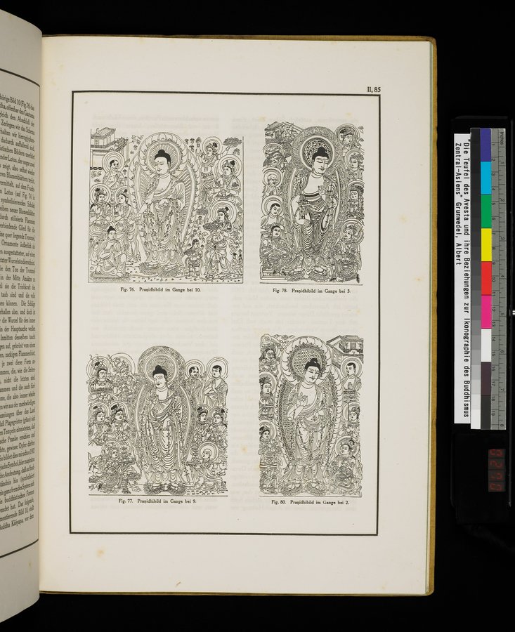 Die Teufel des Avesta und Ihre Beziehungen zur Ikonographie des Buddhismus Zentral-Asiens : vol.1 / Page 541 (Color Image)