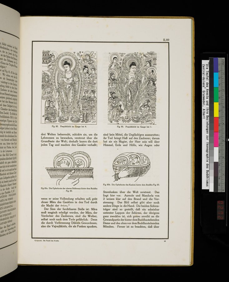Die Teufel des Avesta und Ihre Beziehungen zur Ikonographie des Buddhismus Zentral-Asiens : vol.1 / Page 545 (Color Image)