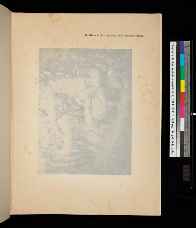 Russkaia Turkestanskaia Ekspeditsiia, 1909-1910 goda : vol.1 / 115 ページ（カラー画像）