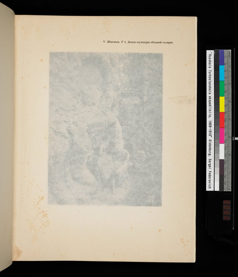 Russkaia Turkestanskaia Ekspeditsiia, 1909-1910 goda : vol.1 / 119 ページ（カラー画像）