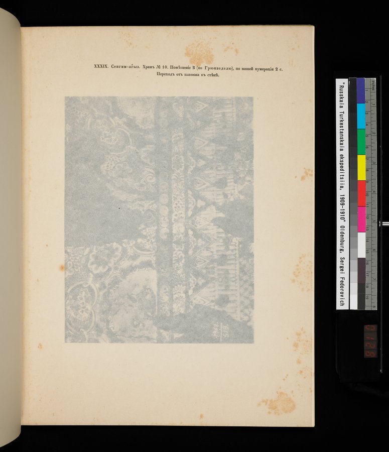 Russkaia Turkestanskaia Ekspeditsiia, 1909-1910 goda : vol.1 / 255 ページ（カラー画像）