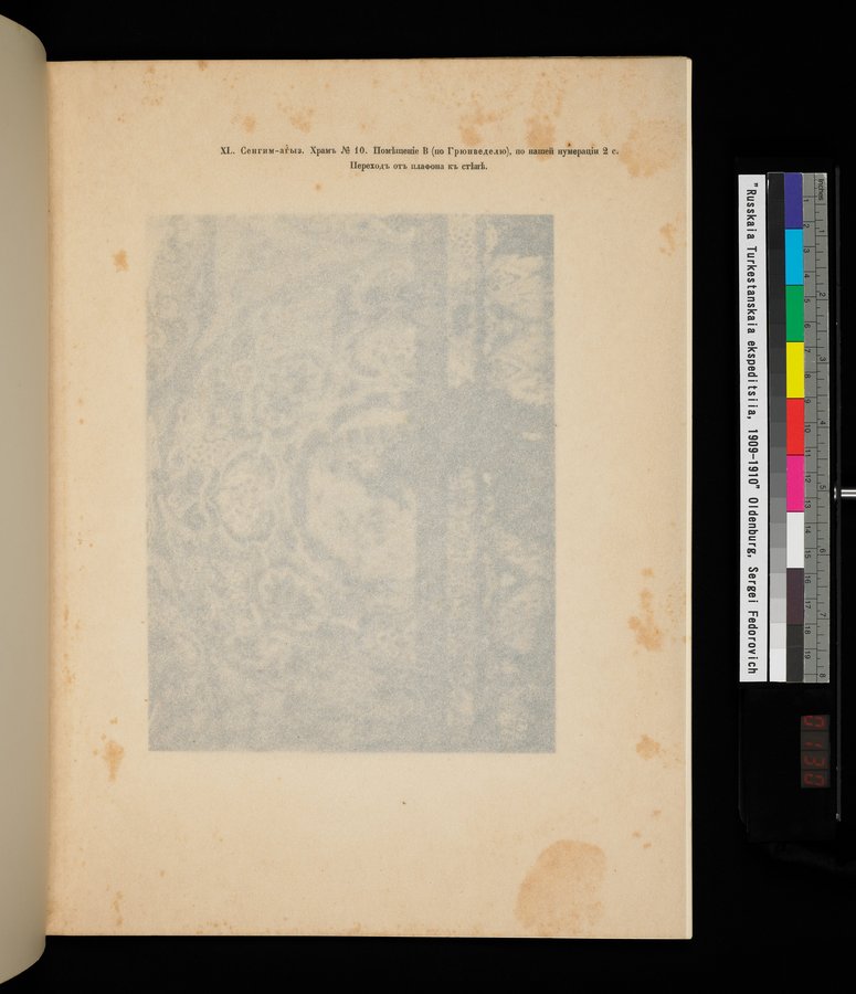 Russkaia Turkestanskaia Ekspeditsiia, 1909-1910 goda : vol.1 / 259 ページ（カラー画像）