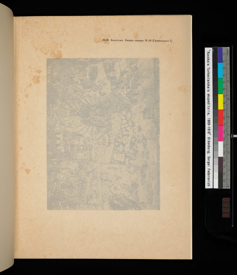 Russkaia Turkestanskaia Ekspeditsiia, 1909-1910 goda : vol.1 / 271 ページ（カラー画像）