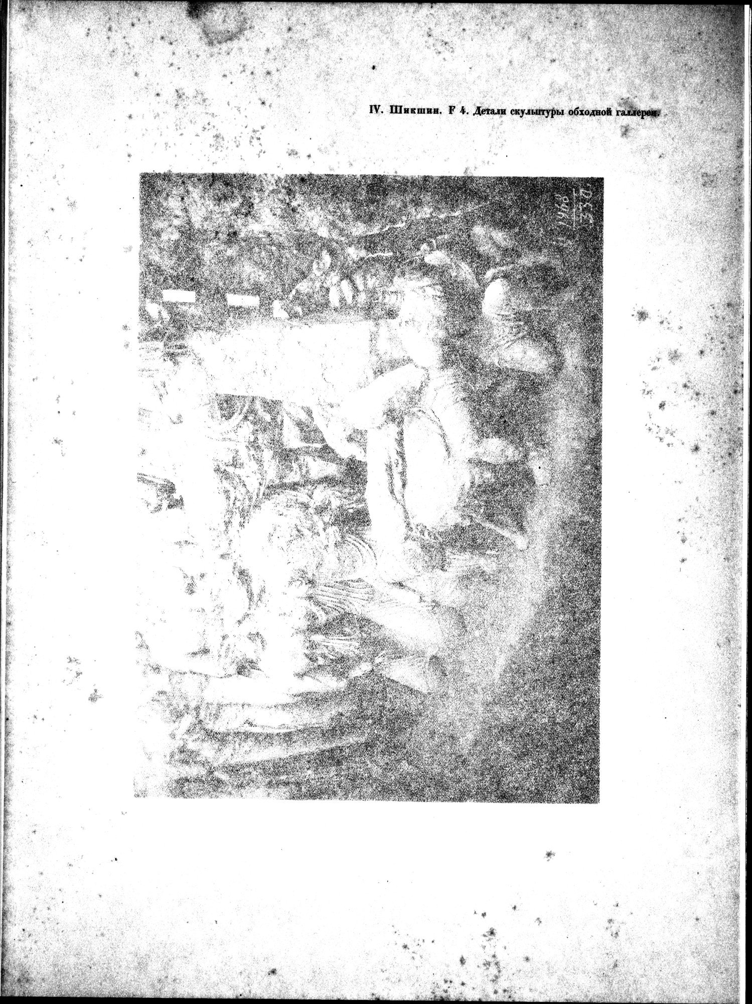 Russkaia Turkestanskaia Ekspeditsiia, 1909-1910 goda : vol.1 / 115 ページ（白黒高解像度画像）