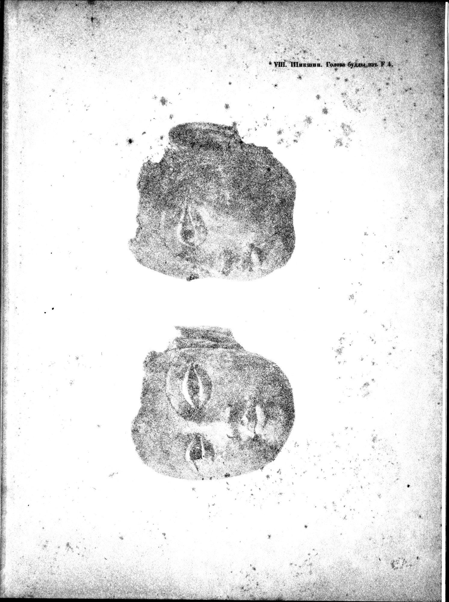 Russkaia Turkestanskaia Ekspeditsiia, 1909-1910 goda : vol.1 / 131 ページ（白黒高解像度画像）