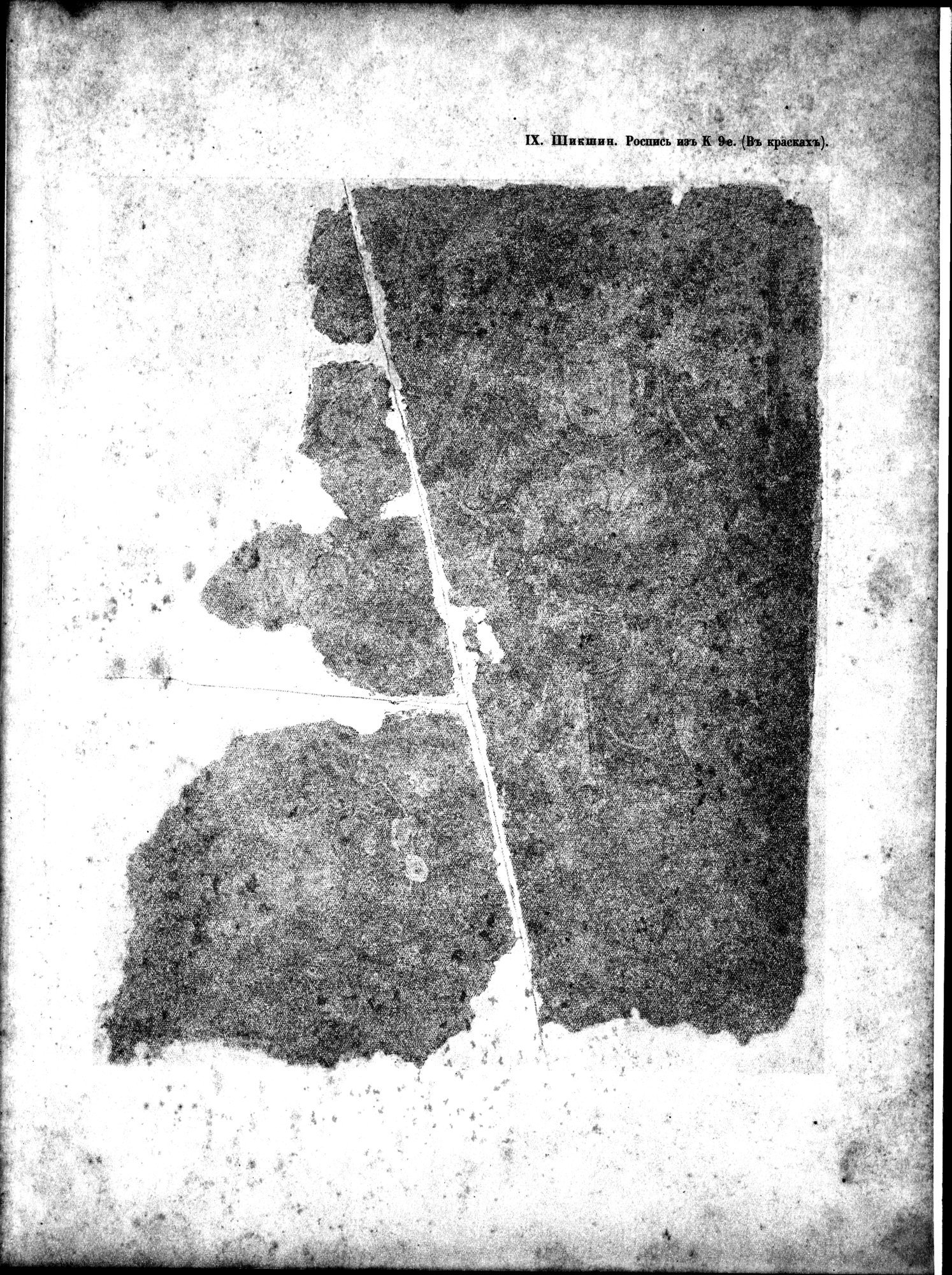 Russkaia Turkestanskaia Ekspeditsiia, 1909-1910 goda : vol.1 / 135 ページ（白黒高解像度画像）