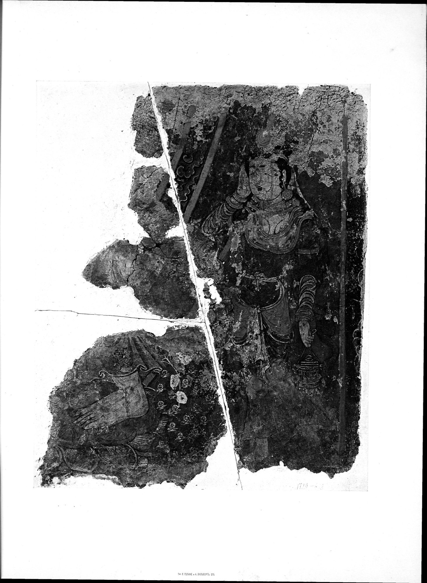Russkaia Turkestanskaia Ekspeditsiia, 1909-1910 goda : vol.1 / 137 ページ（白黒高解像度画像）