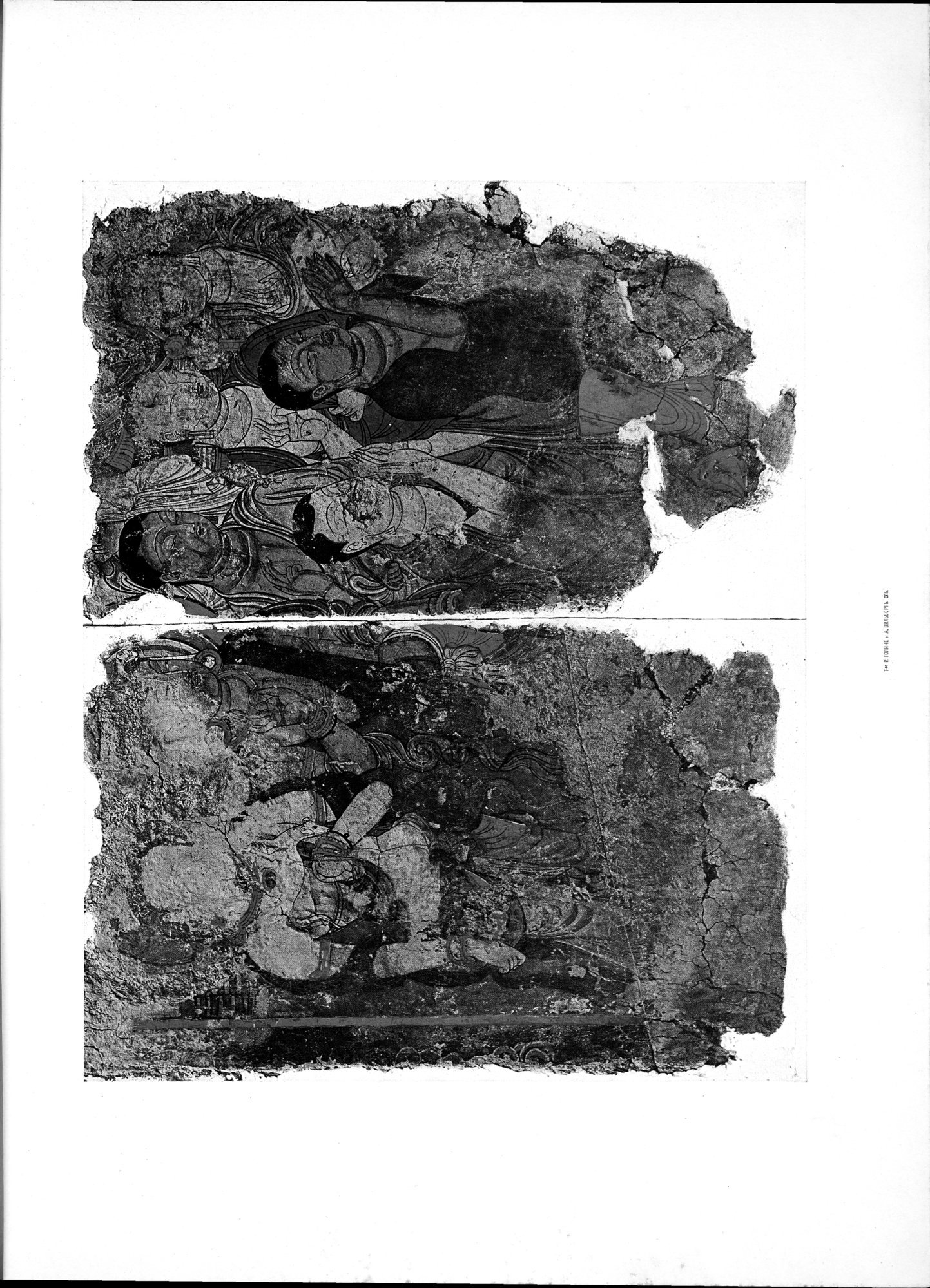 Russkaia Turkestanskaia Ekspeditsiia, 1909-1910 goda : vol.1 / 141 ページ（白黒高解像度画像）
