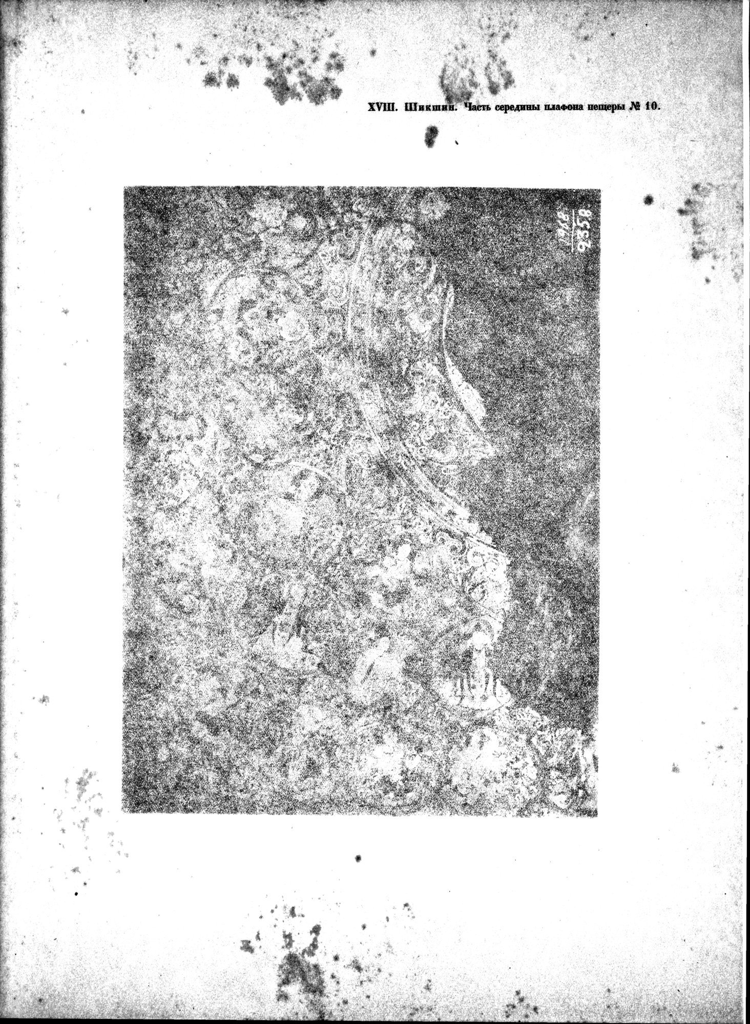 Russkaia Turkestanskaia Ekspeditsiia, 1909-1910 goda : vol.1 / 171 ページ（白黒高解像度画像）