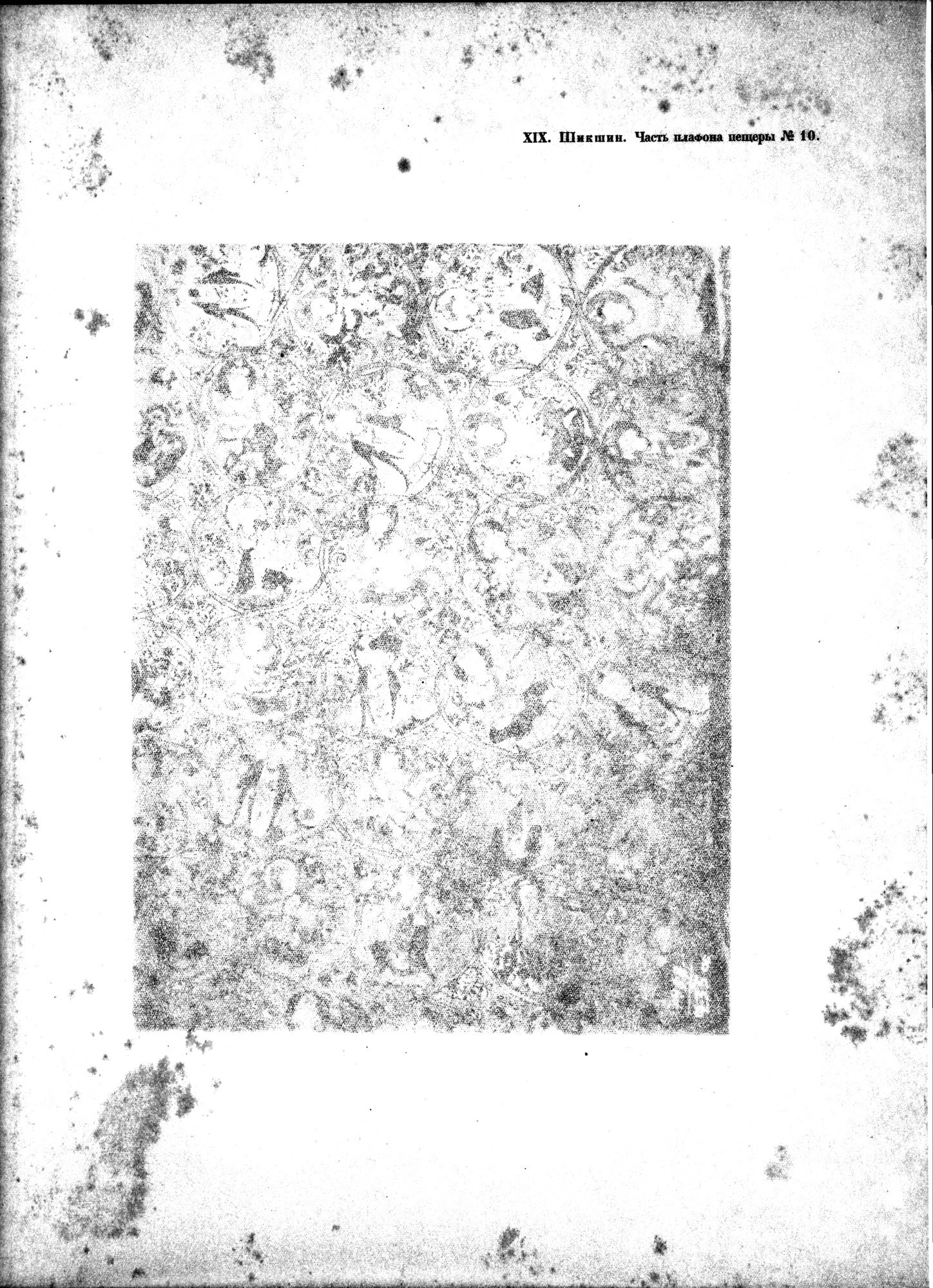 Russkaia Turkestanskaia Ekspeditsiia, 1909-1910 goda : vol.1 / Page 175 (Grayscale High Resolution Image)