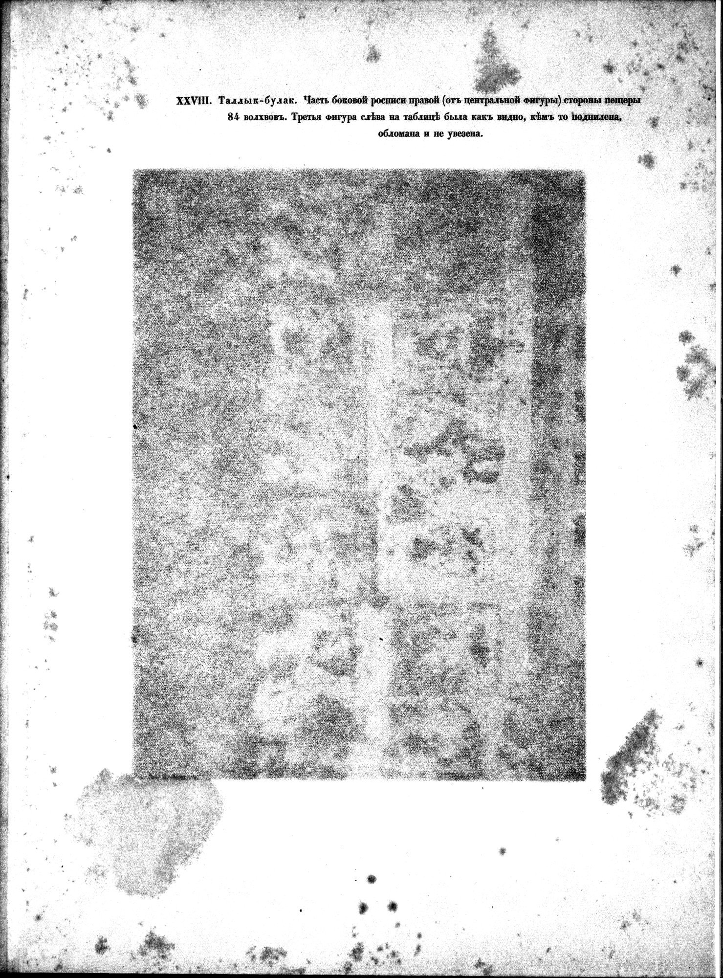 Russkaia Turkestanskaia Ekspeditsiia, 1909-1910 goda : vol.1 / 211 ページ（白黒高解像度画像）