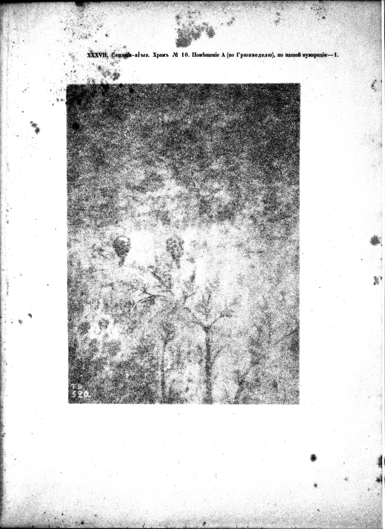 Russkaia Turkestanskaia Ekspeditsiia, 1909-1910 goda : vol.1 / 247 ページ（白黒高解像度画像）