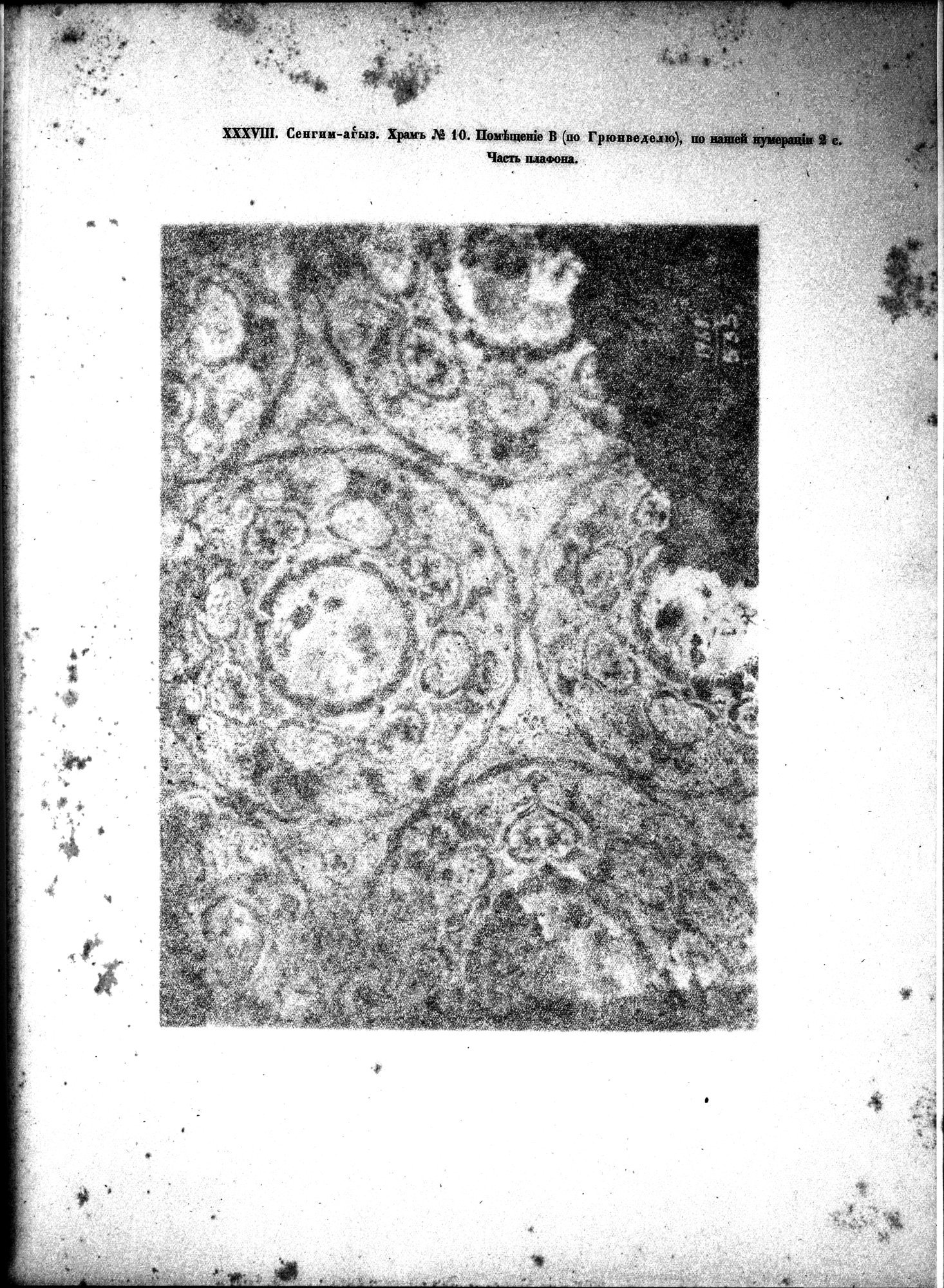 Russkaia Turkestanskaia Ekspeditsiia, 1909-1910 goda : vol.1 / Page 251 (Grayscale High Resolution Image)