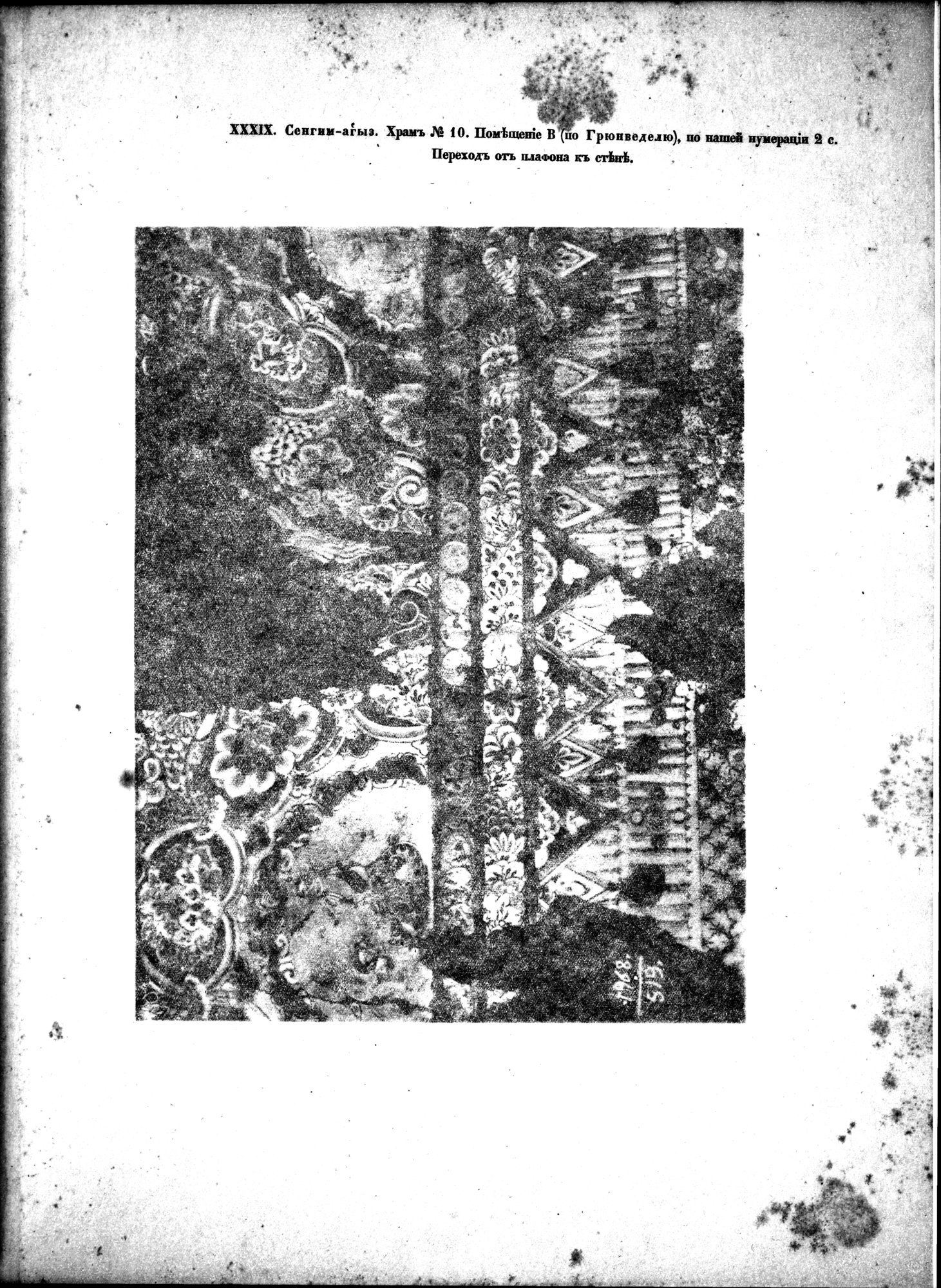 Russkaia Turkestanskaia Ekspeditsiia, 1909-1910 goda : vol.1 / 255 ページ（白黒高解像度画像）