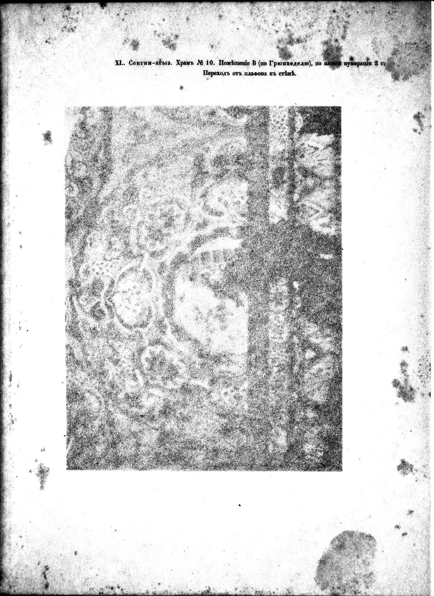 Russkaia Turkestanskaia Ekspeditsiia, 1909-1910 goda : vol.1 / 259 ページ（白黒高解像度画像）