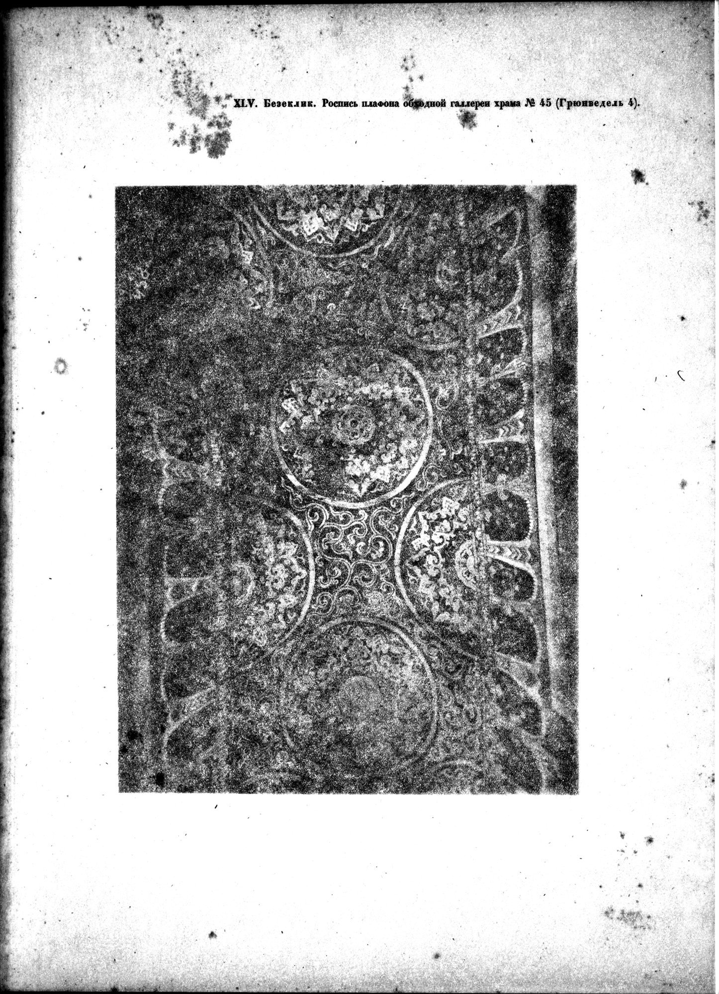 Russkaia Turkestanskaia Ekspeditsiia, 1909-1910 goda : vol.1 / 279 ページ（白黒高解像度画像）