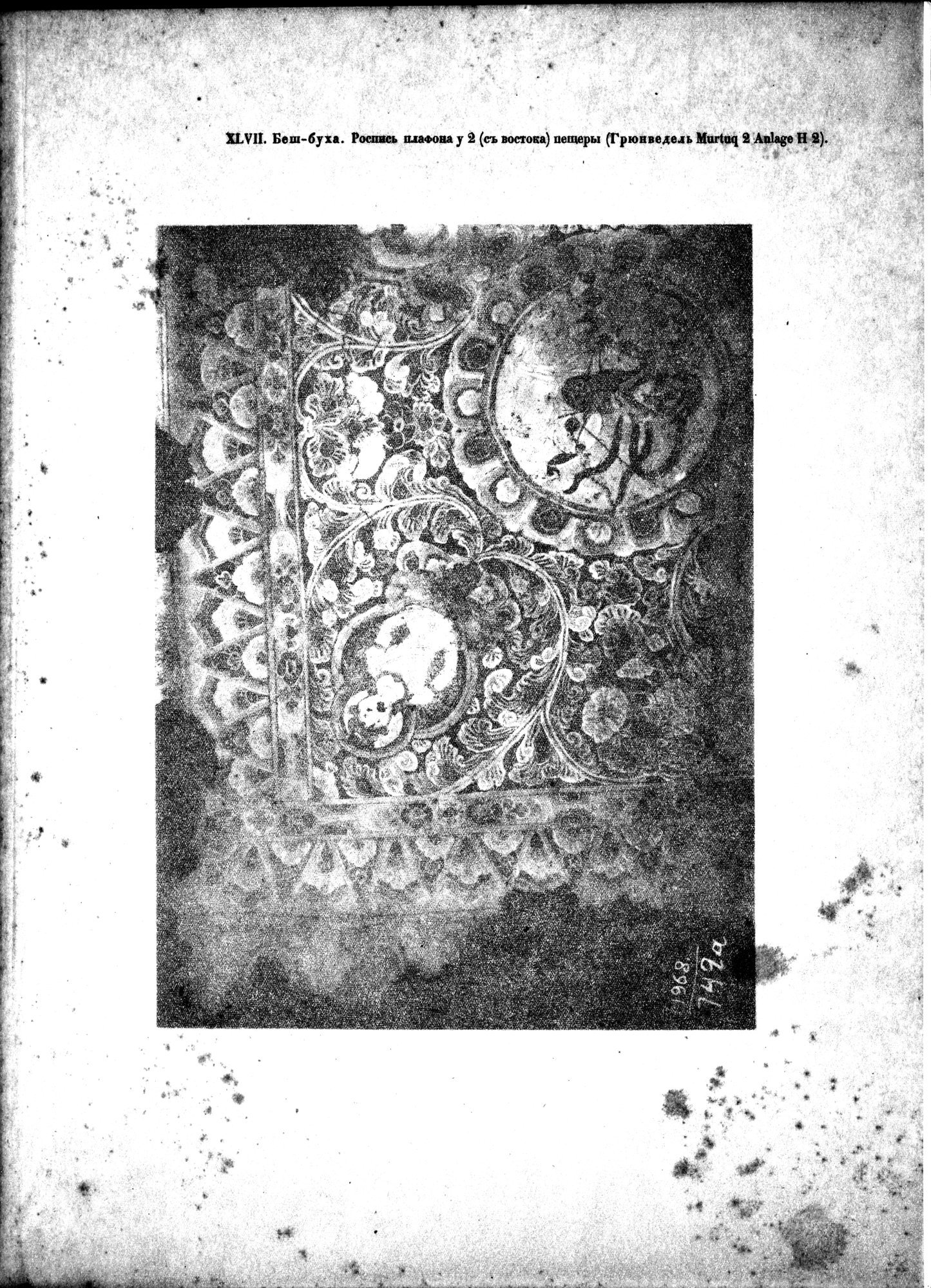 Russkaia Turkestanskaia Ekspeditsiia, 1909-1910 goda : vol.1 / 287 ページ（白黒高解像度画像）