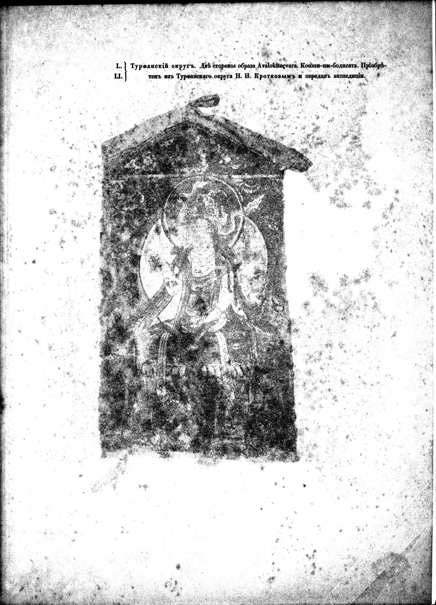 Russkaia Turkestanskaia Ekspeditsiia, 1909-1910 goda : vol.1 / 303 ページ（白黒高解像度画像）
