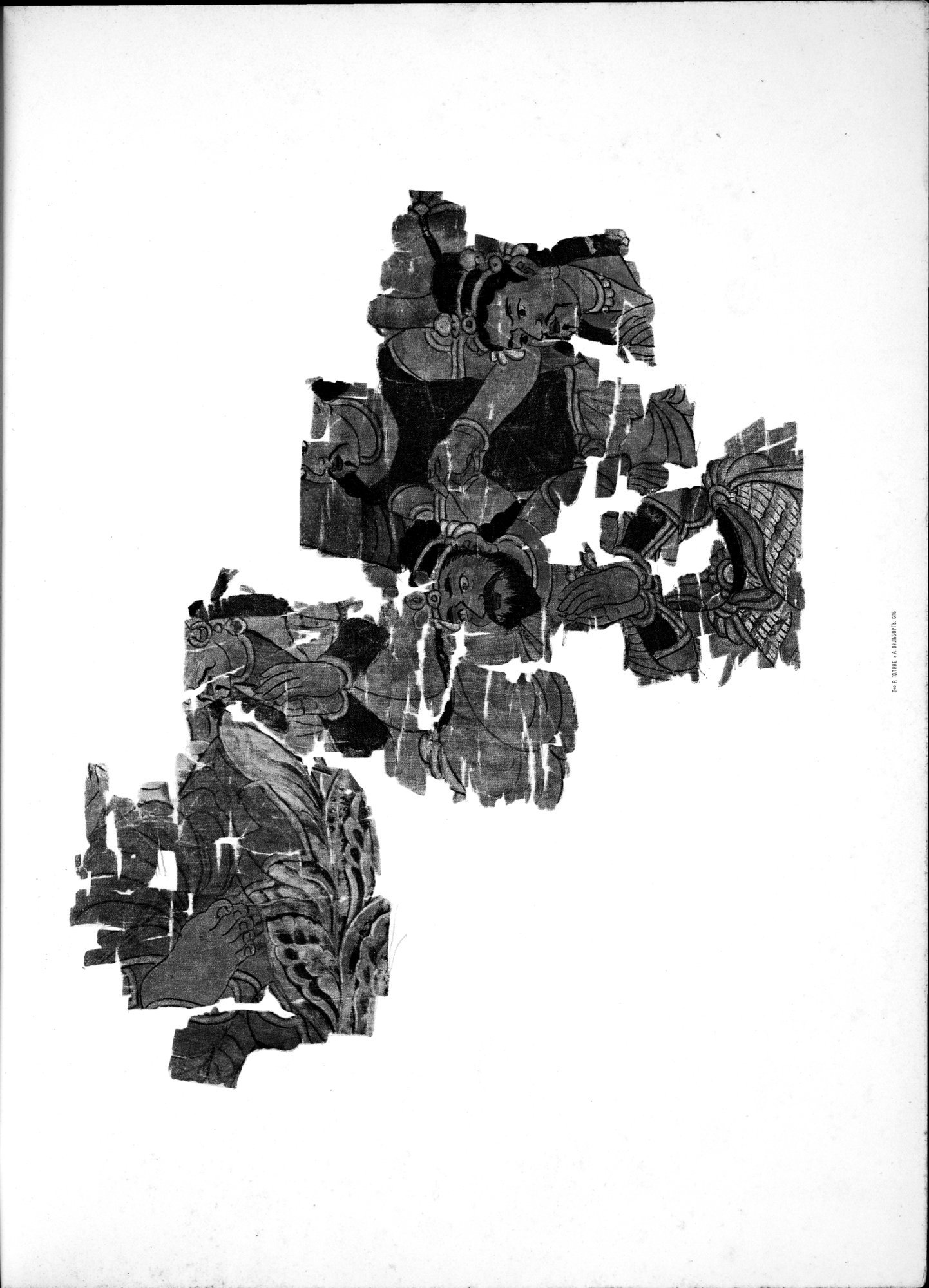 Russkaia Turkestanskaia Ekspeditsiia, 1909-1910 goda : vol.1 / 309 ページ（白黒高解像度画像）