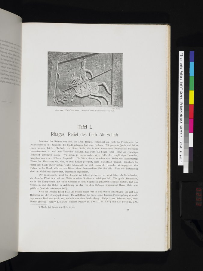 Iranische Felsreliefs : vol.1 / 253 ページ（カラー画像）