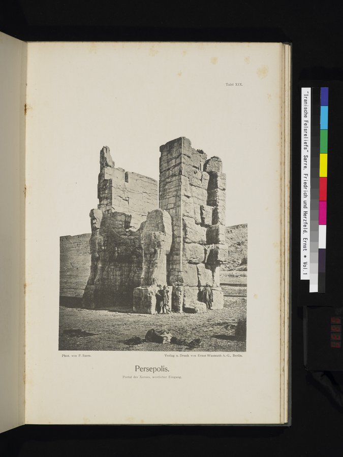 Iranische Felsreliefs : vol.1 / 313 ページ（カラー画像）