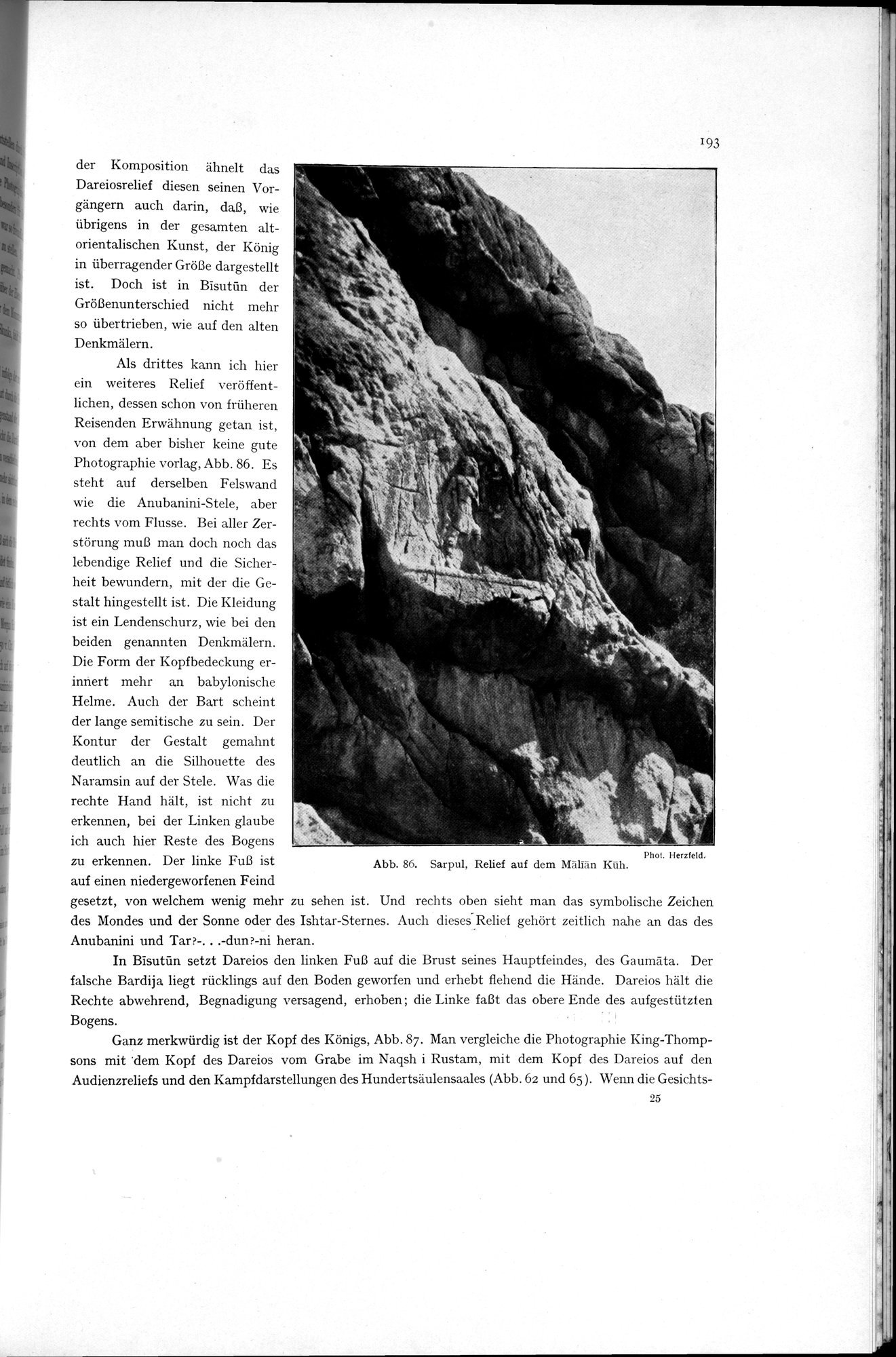 Iranische Felsreliefs : vol.1 / 205 ページ（白黒高解像度画像）