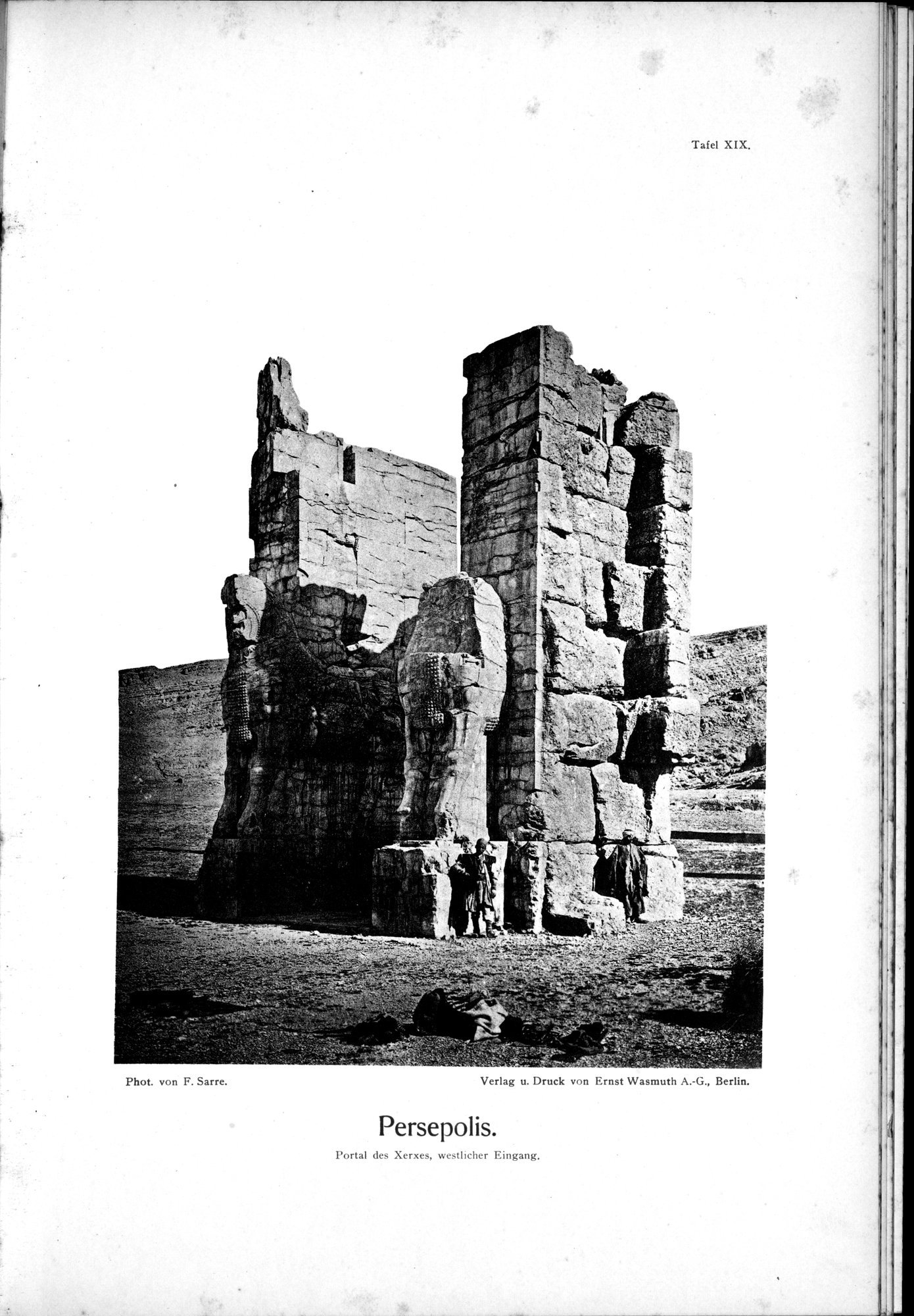 Iranische Felsreliefs : vol.1 / 313 ページ（白黒高解像度画像）