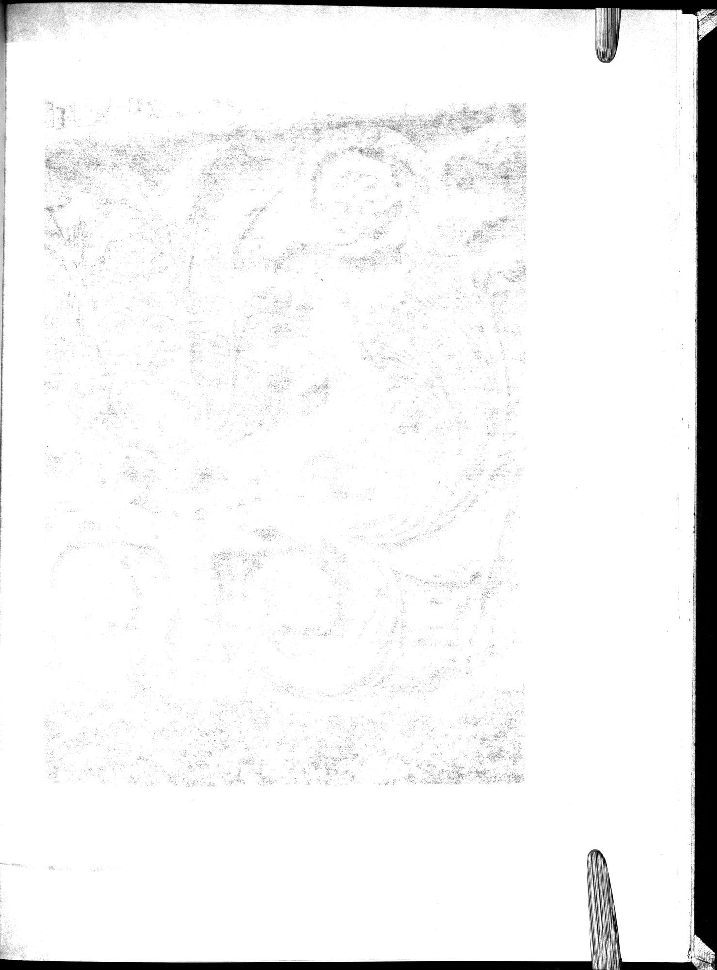 Am Tor von Asien : vol.1 / 315 ページ（白黒高解像度画像）