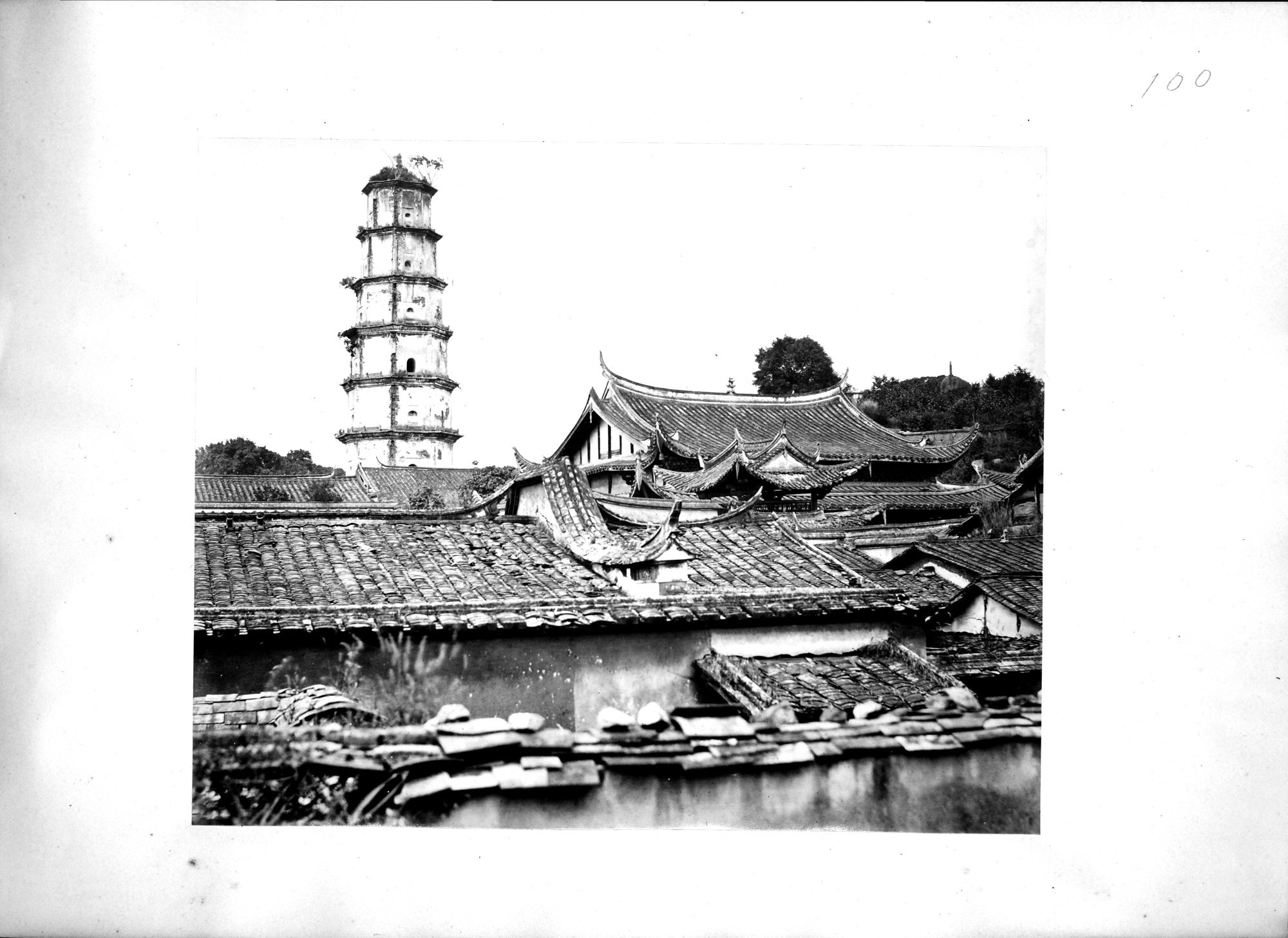 Album of Hongkong Canton Macao Amoy Foochow : vol.1 / 102 ページ（白黒高解像度画像）