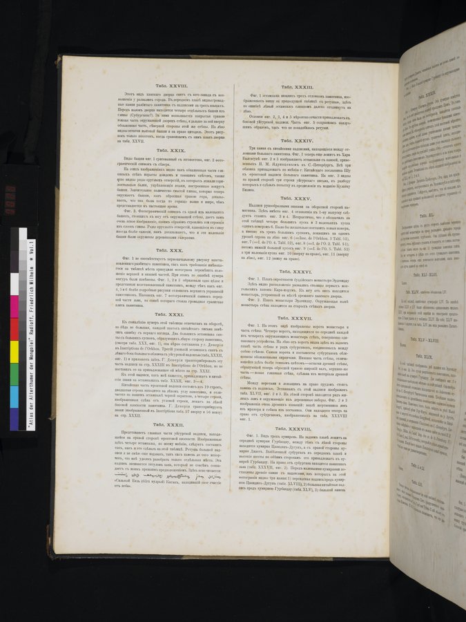 Atlas der Alterthümer der Mongolei : vol.1 / 28 ページ（カラー画像）