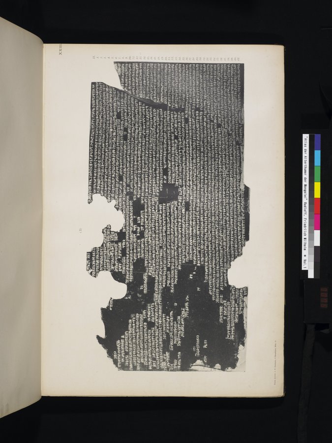 Atlas der Alterthümer der Mongolei : vol.1 / 75 ページ（カラー画像）