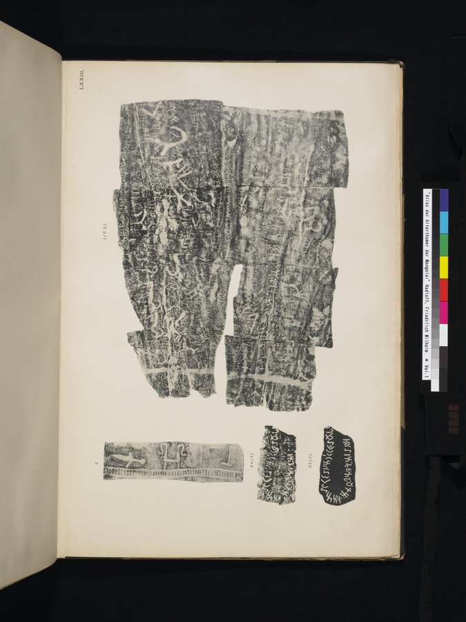 Atlas der Alterthümer der Mongolei : vol.1 / 195 ページ（カラー画像）