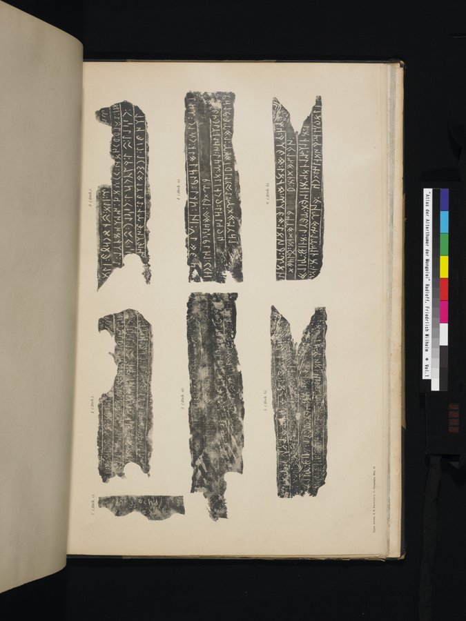 Atlas der Alterthümer der Mongolei : vol.1 / 245 ページ（カラー画像）