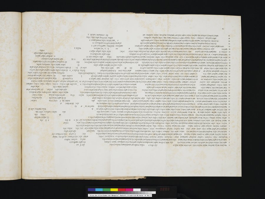 Atlas der Alterthümer der Mongolei : vol.1 / 267 ページ（カラー画像）