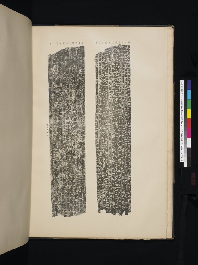 Atlas der Alterthümer der Mongolei : vol.1 / 303 ページ（カラー画像）