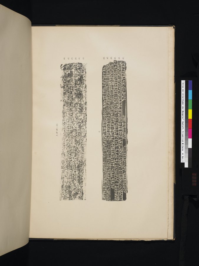 Atlas der Alterthümer der Mongolei : vol.1 / 307 ページ（カラー画像）