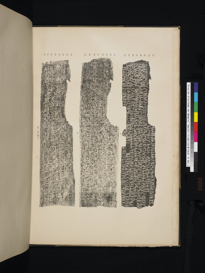 Atlas der Alterthümer der Mongolei : vol.1 / 309 ページ（カラー画像）